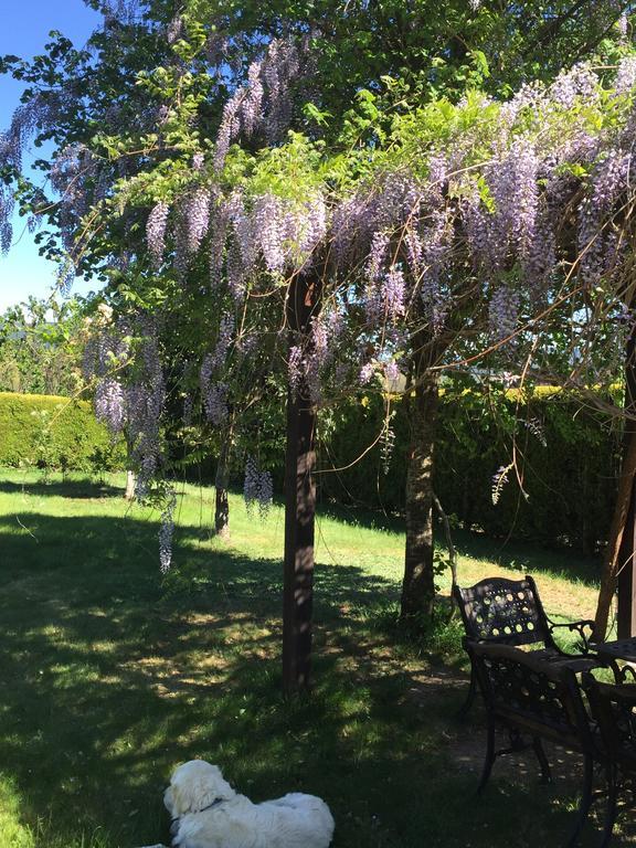Alojamiento En Entorno Rural Los Trobos Villar de Otero Exteriör bild