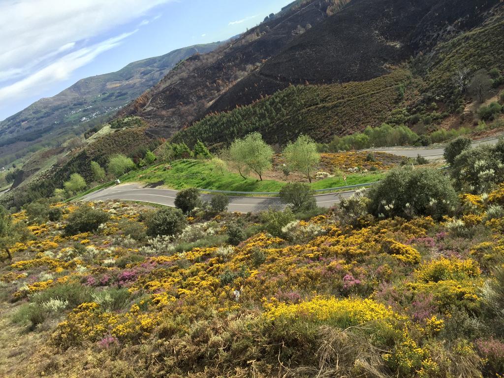 Alojamiento En Entorno Rural Los Trobos Villar de Otero Exteriör bild